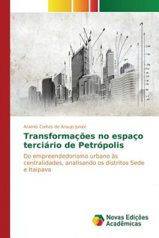 Buch Transformacoes no espaco terciario de Petropolis Cortes De Araujo Junior Aramis