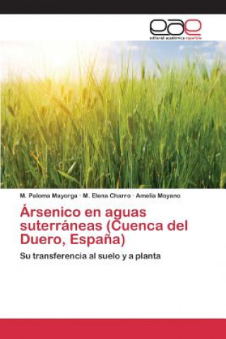 Könyv Arsenico en aguas suterraneas (Cuenca del Duero, Espana) Moyano Amelia