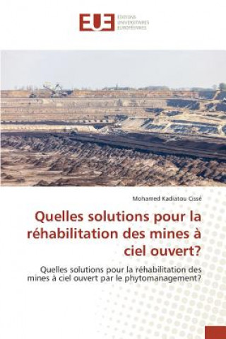 Kniha Quelles solutions pour la rehabilitation des mines a ciel ouvert? Cisse Mohamed Kadiatou