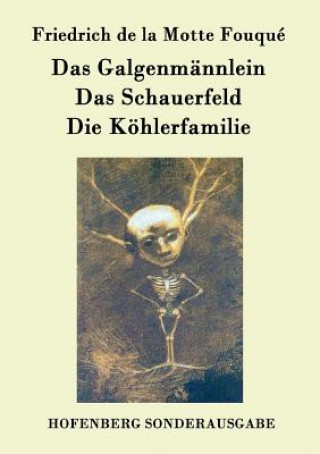 Könyv Galgenmannlein / Das Schauerfeld / Die Koehlerfamilie Friedrich De La Motte Fouque
