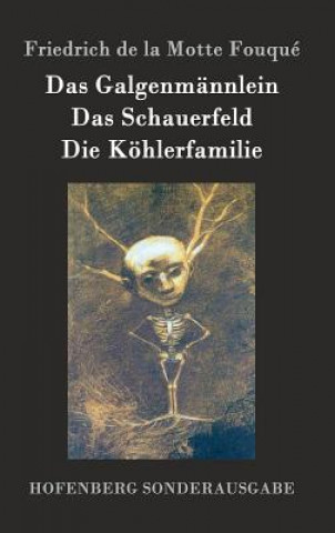 Buch Galgenmannlein / Das Schauerfeld / Die Koehlerfamilie Friedrich De La Motte Fouque