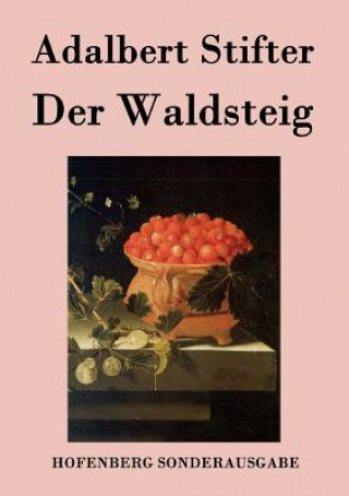 Kniha Waldsteig Adalbert Stifter