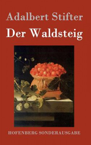 Kniha Der Waldsteig Adalbert Stifter