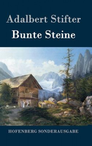 Livre Bunte Steine Adalbert Stifter