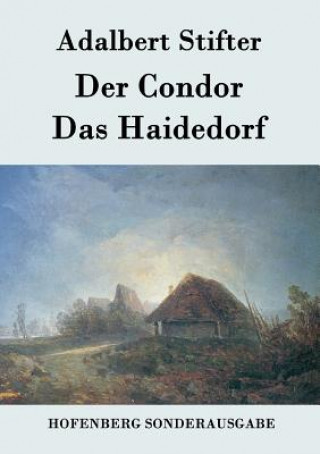 Kniha Condor / Das Haidedorf Adalbert Stifter
