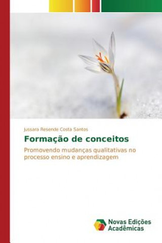 Kniha Formacao de conceitos Resende Costa Santos Jussara