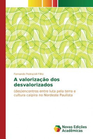 Книга valorizacao dos desvalorizados Pedrazolli Filho Fernando