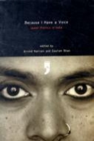 Buch Because I Have a Voice Arvind Narrain