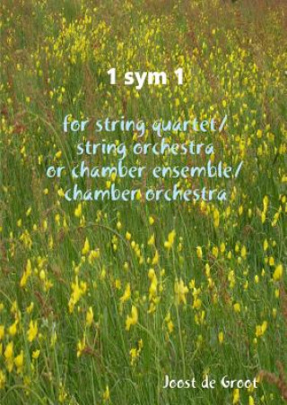 Kniha 1 sym 1 for string quartet/string orchestra or chamber ensemble/chamber orchestra Joost De Groot