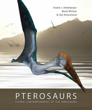 Carte Pterosaurs Ilja Nieuwland