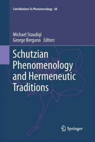 Kniha Schutzian Phenomenology and Hermeneutic Traditions George Berguno