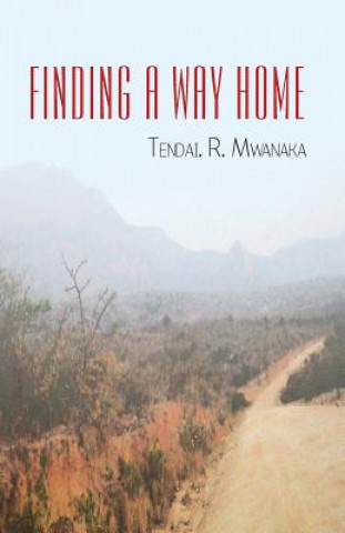 Boek Finding a Way Home Tendai R Mwanaka