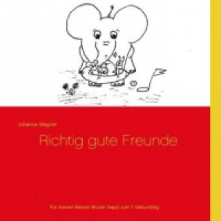 Buch Richtig gute Freunde Johanna Wagner