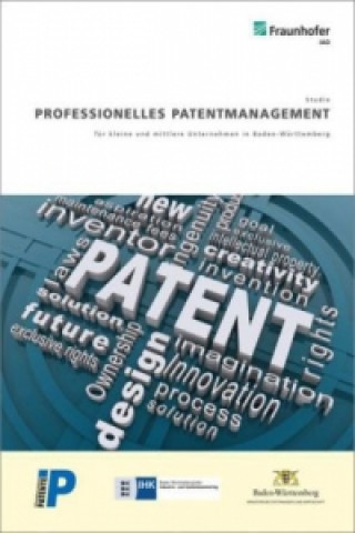 Kniha Professionelles Patentmanagement für kleine und mittlere Unternehmen in Baden-Württemberg. Helmut Appel