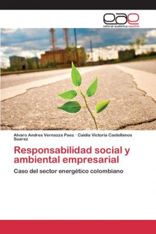 Kniha Responsabilidad social y ambiental empresarial Vernazza Paez Alvaro Andres