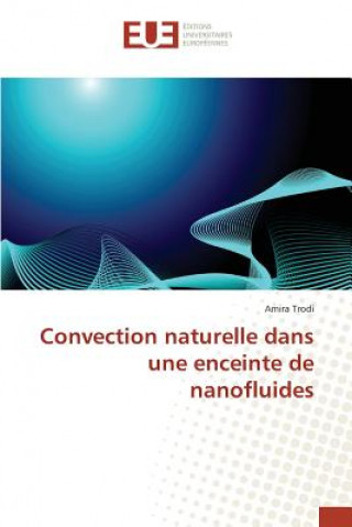 Könyv Convection naturelle dans une enceinte de nanofluides Trodi Amira