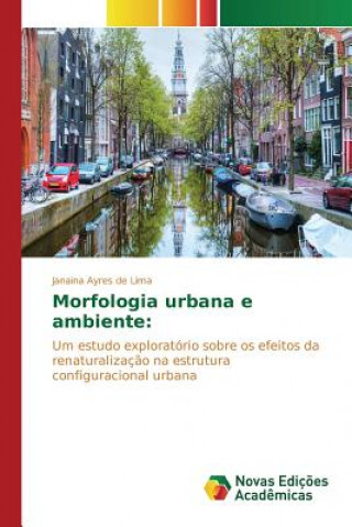 Kniha Morfologia urbana e ambiente Ayres De Lima Janaina