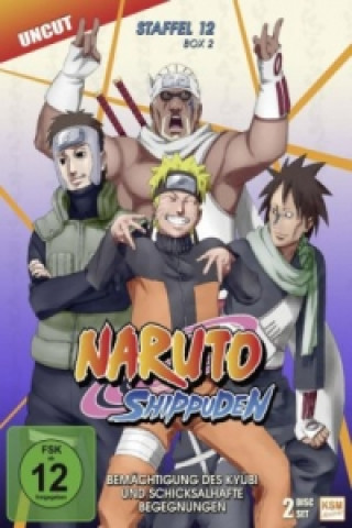 Video Naruto Shippuden - Bemächtigung des Kyubi und schicksalhafte Begegnungen, 2 DVD Hayato Date