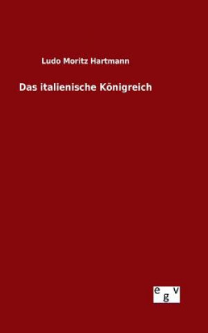 Book italienische Koenigreich Ludo Moritz Hartmann