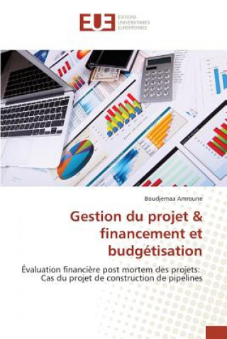 Könyv Gestion Du Projet Financement Et Budgetisation Amroune-B