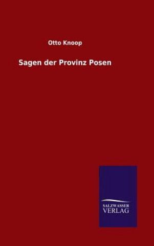 Книга Sagen der Provinz Posen Otto Knoop