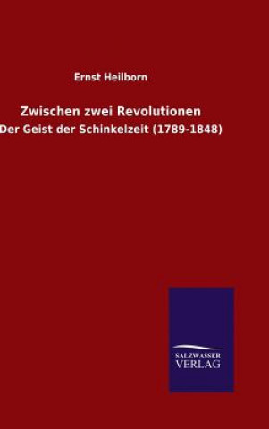 Książka Zwischen zwei Revolutionen Ernst Heilborn