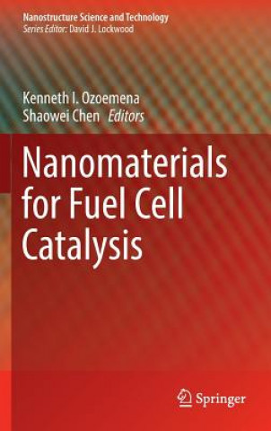 Kniha Nanomaterials for Fuel Cell Catalysis Shaowei Chen