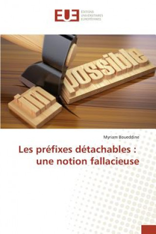 Könyv Les Prefixes Detachables Boueddine-M