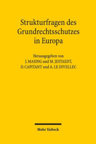 Book Strukturfragen des Grundrechtsschutzes in Europa Johannes Masing