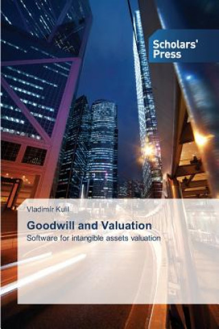 Kniha Goodwill and Valuation Kulil Vladimir