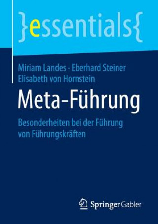 Buch Meta-Fuhrung Miriam Landes