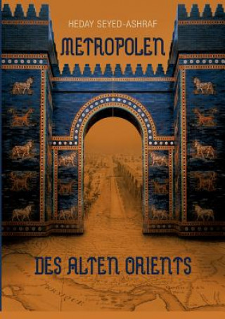 Kniha Metropolen des alten Orients Heday Seyed-Ashraf