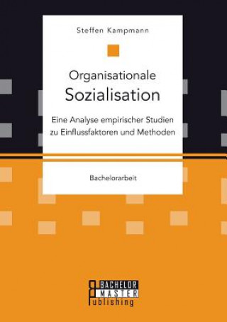 Carte Organisationale Sozialisation Steffen Kampmann