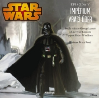 Könyv STAR WARS Impérium vrací úder Ryder Windham
