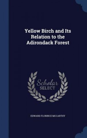 Könyv Yellow Birch and Its Relation to the Adirondack Forest EDWARD FLO MCCARTHY