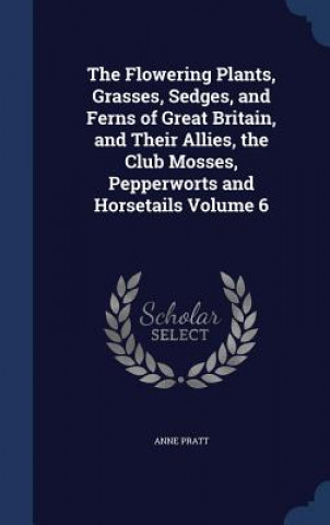 Könyv Flowering Plants, Grasses, Sedges, and Ferns of Great Britain, and Their Allies, the Club Mosses, Pepperworts and Horsetails Volume 6 ANNE PRATT