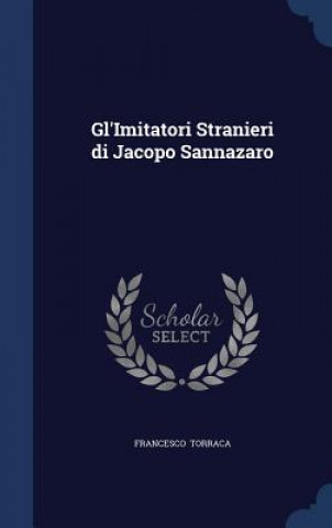 Buch Gl'imitatori Stranieri Di Jacopo Sannazaro FRANCESCO TORRACA