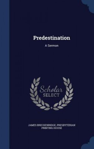 Kniha Predestination JAMES BRECKENRIDGE