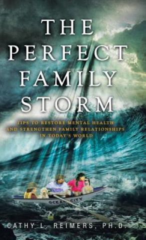 Kniha Perfect Family Storm REIMERS