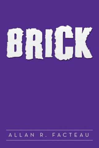 Kniha Brick ALLAN R. FACTEAU