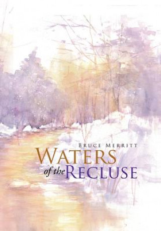 Buch Waters of the Recluse BRUCE MERRITT