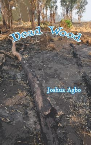 Kniha Dead Wood Joshua Agbo