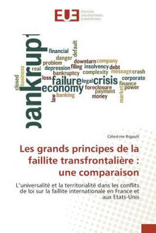 Libro Les Grands Principes de la Faillite Transfrontaliere RIGAULT C LESTINE