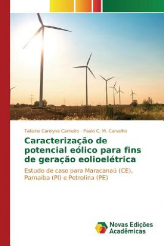 Könyv Caracterizacao de potencial eolico para fins de geracao eolioeletrica CARNEIRO TATIANE CAR