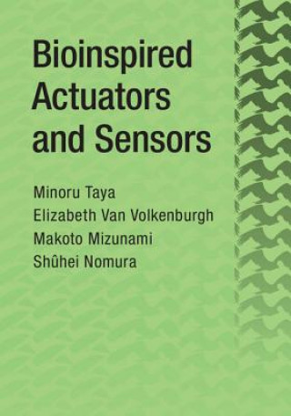 Könyv Bioinspired Actuators and Sensors Minoru Taya