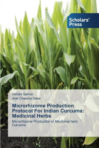 Könyv Microrhizome Production Protocol For Indian Curcuma Sarma Indrani