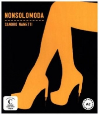 Könyv Nonsolomoda Sandro NanettI