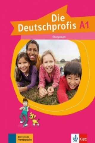 Książka Die Deutschprofis 
