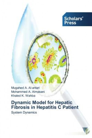 Könyv Dynamic Model for Hepatic Fibrosis in Hepatitis C Patient Al-Antari Mugahed a