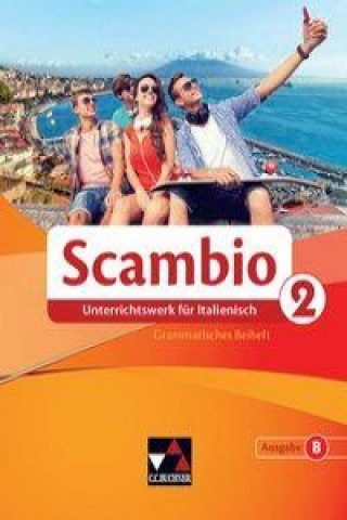Kniha Scambio B GB 2 Martin Stenzenberger